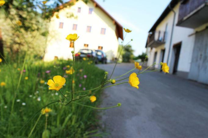 Ferienwohnung Huber Engelhartszell Exterior foto